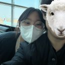 1월 스페인, 포르투갈 1일차: 인터파크 투어 패키지, 대한항공(KE921, 인천-리스본) 후기