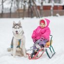 핀란드 작은마을 이미지