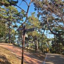 대왕암공원타워주차장화장실 이미지