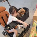 너애개만 | 에이블유모카플러스 트라이크와 에이블카독을 쌍둥이유모차로 변신! 내돈내산 사용후기 및 설치방법