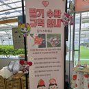또로롱딸기농장 이미지
