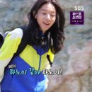 정글비스킷