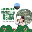 오색카써비스 이미지