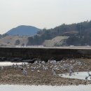 새들펜션민박 이미지