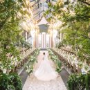 빌라드화이트 이미지