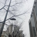 양내과의원 이미지