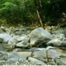 갓삼겹살 이미지