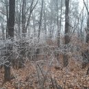 신원1리 이미지