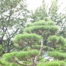 소사농원 이미지