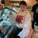 메이드독 이미지