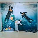 제주세계자연유산센터 세계유산전시관 | 제주세계자연유산센터 선흘리