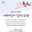 화미주헤어 티스토리