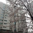 말콤엘리시아공인중개사사무소 | 수원 권선동 SK뷰아파트