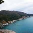 [섬테마2023년 3월 25일 토요일] ▶﻿동백꽃이 아름다운섬 내도,화사한 수선화꽃의 공곶이◆﻿트레킹안내 이미지