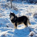 토골농장 이미지