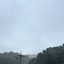화이트풀빌라 | 파주 머스트화이트 키즈 풀빌라 솔직 후기 (광고x)