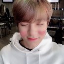 제노샵2