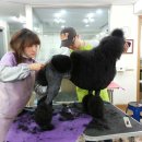 중앙미용학원 이미지