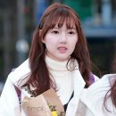 이른아침 이미지