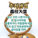 이승에서 행복하게 장수할수 있는 비결 이미지