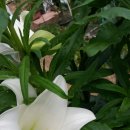 우리타워 이미지