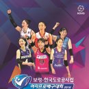 보령, 한국도로공사컵 여자프로배구대회 2018 개최 임박 (8월 5일 개막) 이미지