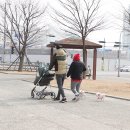 각산비나리근린공원 이미지