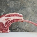 고기로1-1 이미지