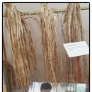 서울시립구로청소년수련관의 전통한지공예체험하고 왔어요..