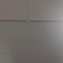 제이랩솔루션 | 거울 속 새로운 나를 만나는 비밀, 여드름관리부터 맞춤 체형 케어까지!