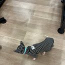 우리짐 청담점 이미지