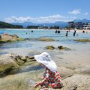 자작도하우스 | 아이랑 가기 너무좋은💙 자작도 해수욕장 + 자작도 하우스 숙소 후기