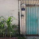 외미로 네이버블로그