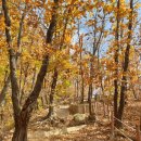 천마산약수터 이미지