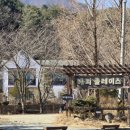 속초 애견펜션 양양 해피 플레이스 이미지