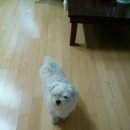 올리브백화점 이미지