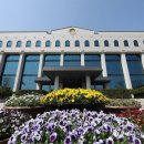 조기대선 6월 3일 실시한다 이미지