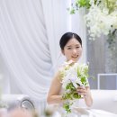 완벽했던 포린모먼트 본식스냅 후기♡