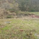 NO1공인중개사사무소 이미지