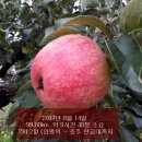 남한강자전거길 14 이미지