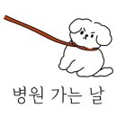 이든 동물메디컬 이미지