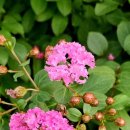 해거름길 이미지