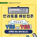 누리동물병원 이미지