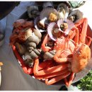 주문진 방파제회센타 이미지