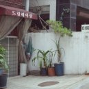 드림헤어샵 이미지
