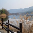 운곡생태습지길 2코스 티스토리