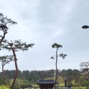 전주이씨 광평대군파 묘역 | 서울 - 전주이씨 광평대군파 묘역