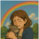 삼동축산 | 울산고양이장례 “잘 가, 우리 아이” 울산 고양이 장례 후기 공유