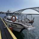 만선을 기원하며 2 | 제주도 액티비티 추천 위미항 제니스 배낚시 체험 후기 (지깅 낚시, 트롤링 낚시)