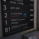 다니마인터내셔날
